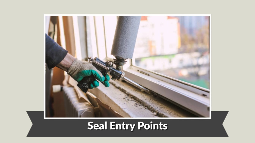 Seal Entry Points