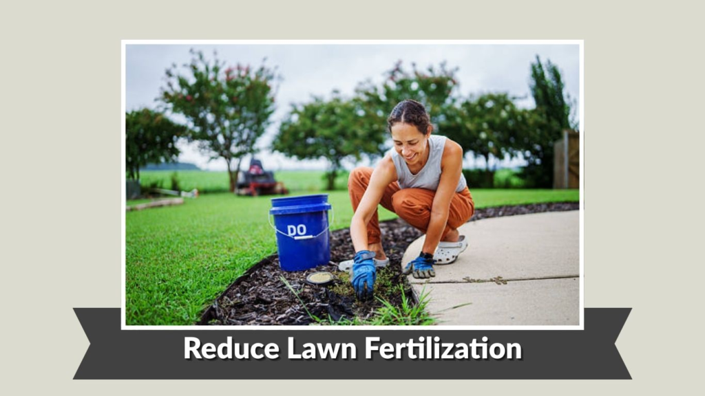 Reduce Lawn Fertilization