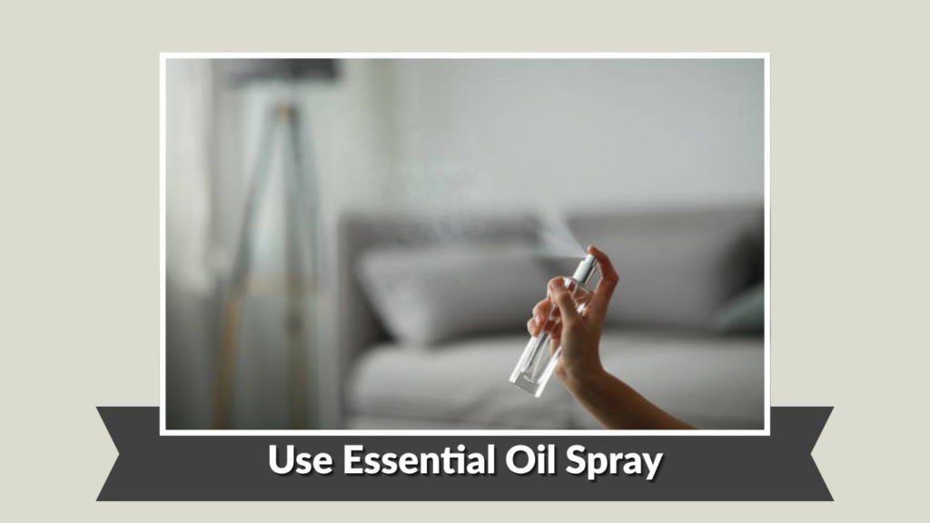  Use Essential Oil Spray