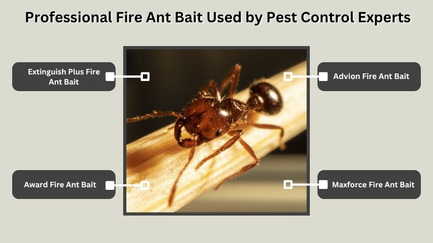 Professional Fire Ant Bait Used by Pest Control Experts
