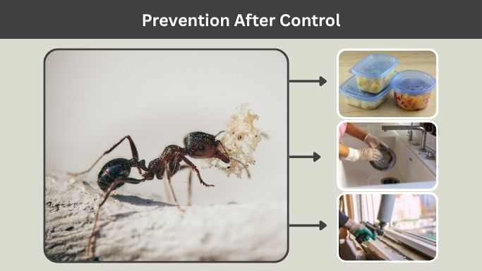 Prevention After Control