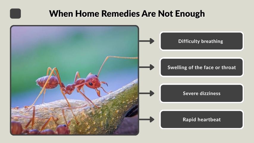 When Home Remedies Are Not Enough