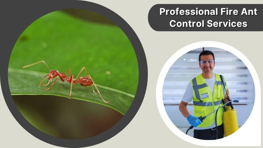 Professional Fire Ant Control Services