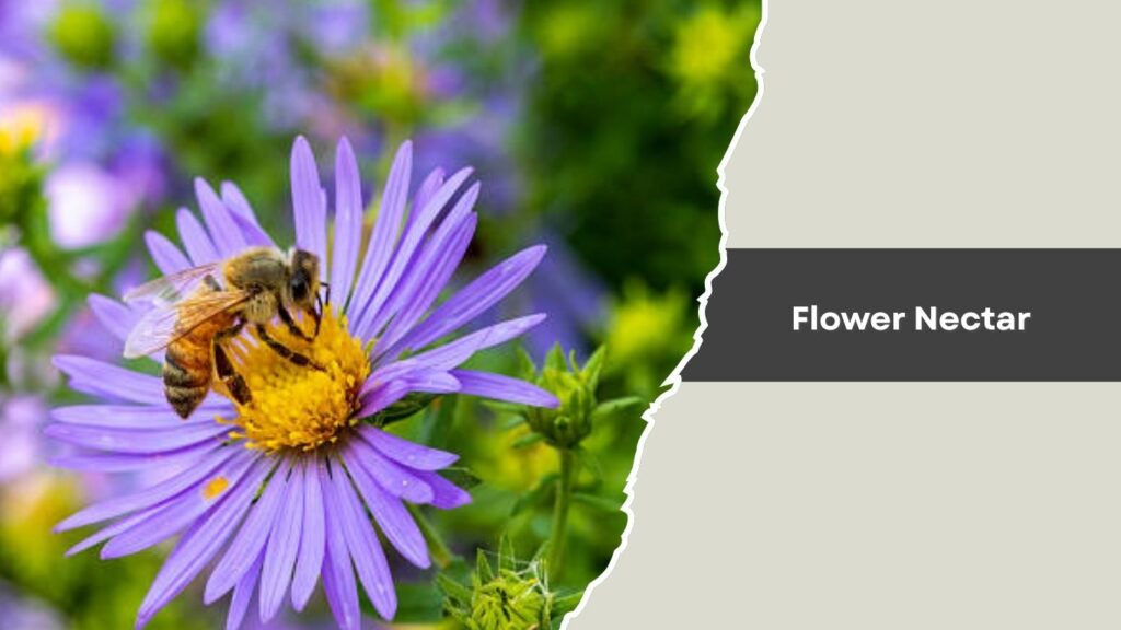 Flower Nectar