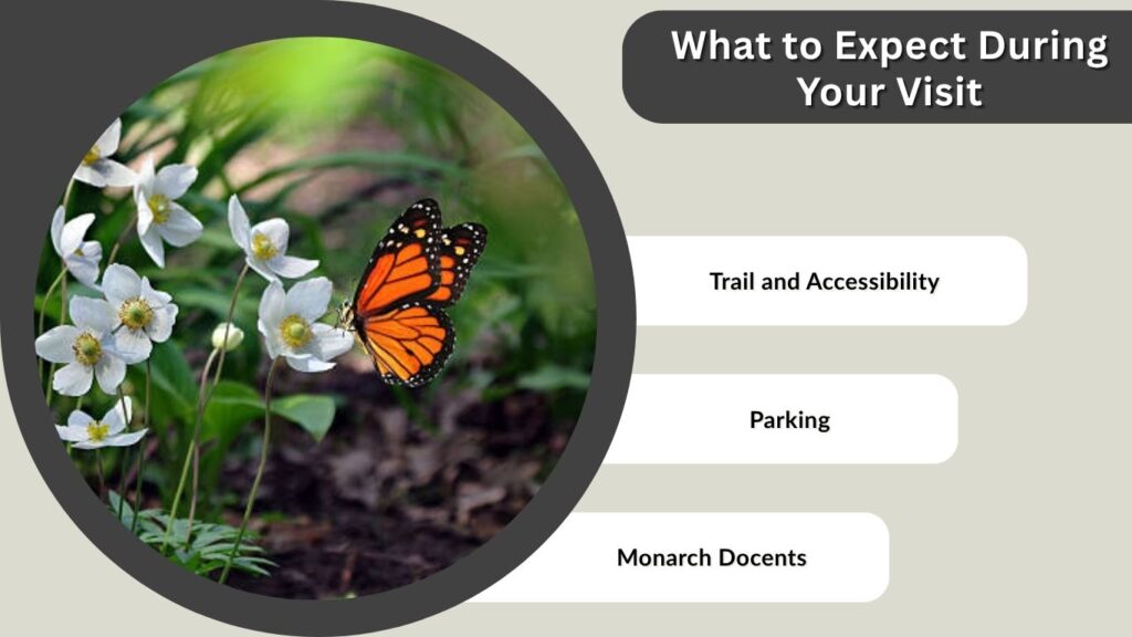 What to Expect During Your Visit