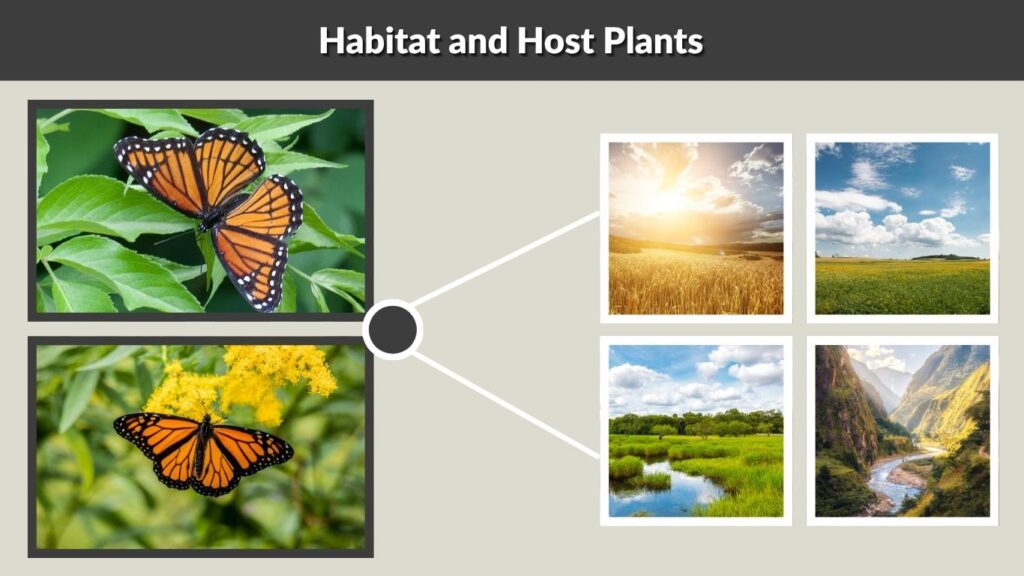 Habitat and Host Plants