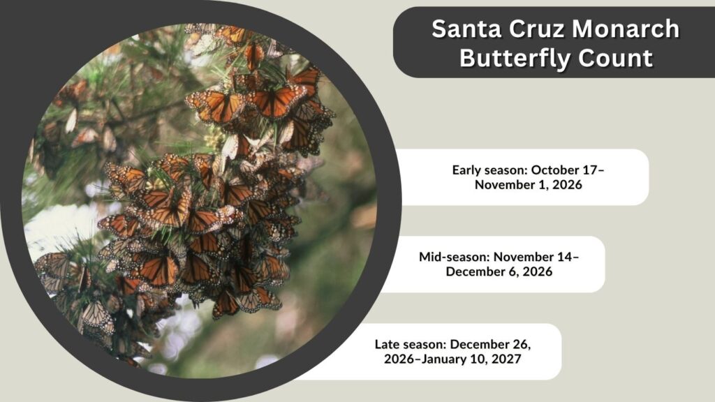 Santa Cruz Monarch Butterfly Count