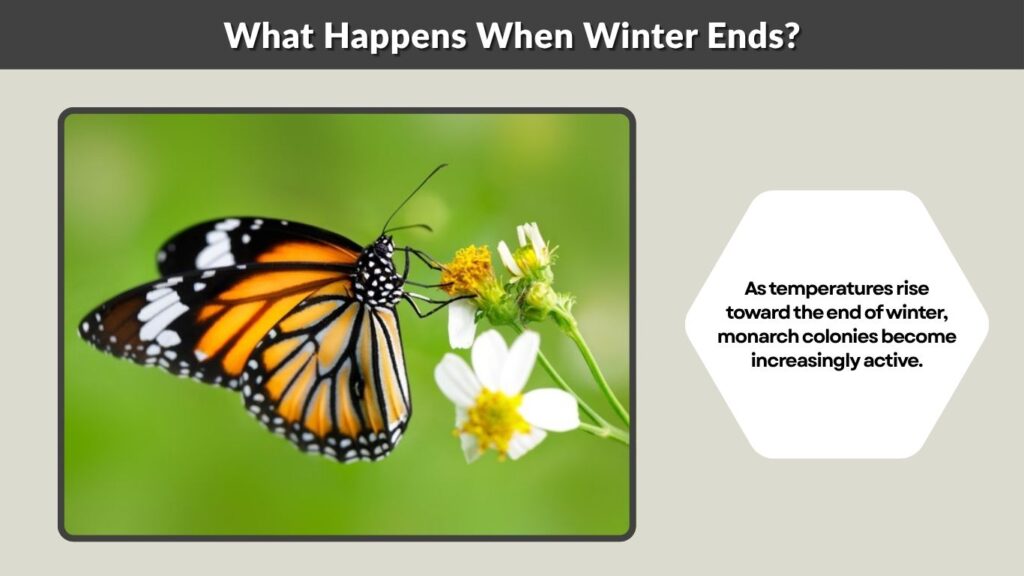 What Happens When Winter Ends?