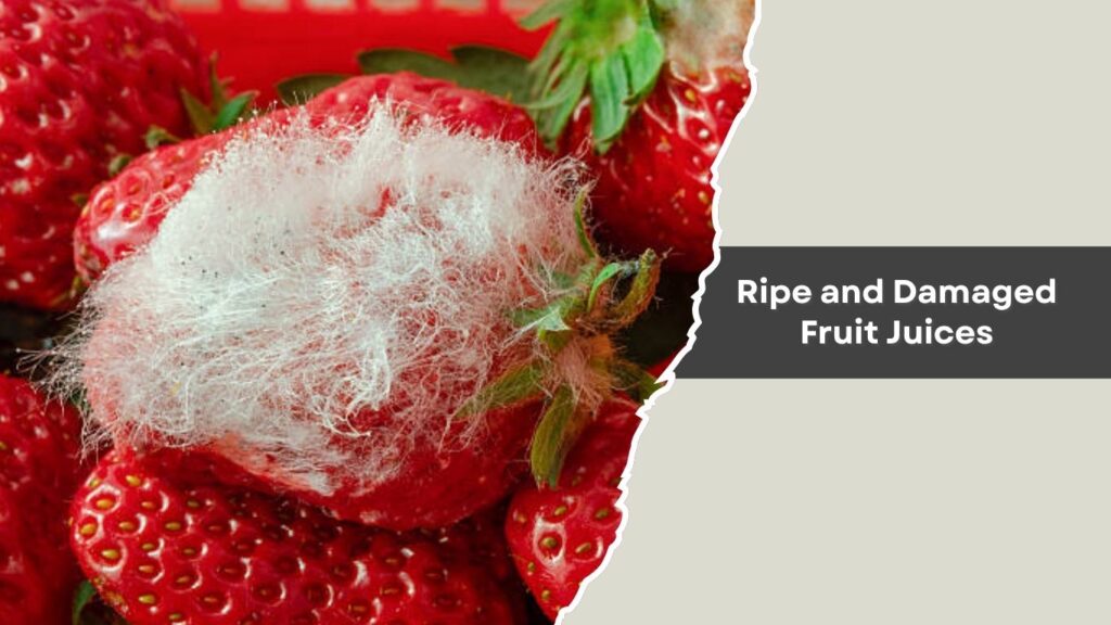Ripe and Damaged Fruit Juices