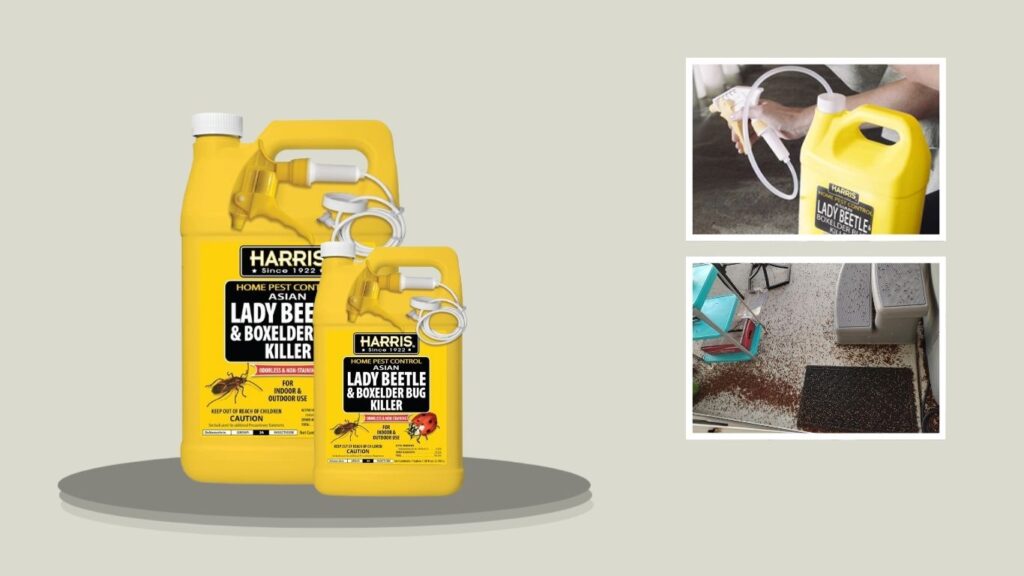 Harris Asian Lady Beetle, Japanese Beetle & Box Elder Killer – 1 Gallon