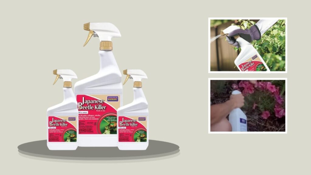 Bonide Japanese Beetle Killer Ready-to-Use Spray – 32 oz