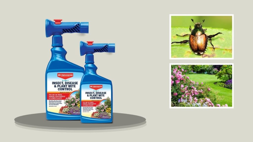 BioAdvanced 3-in-1 Insect, Disease & Mite Control Ready-to-Spray – 32 oz