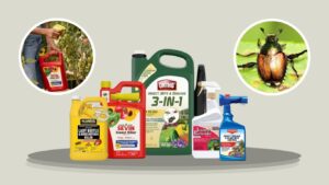8 Best Japanese Beetle Sprays for Plants That Actually Work