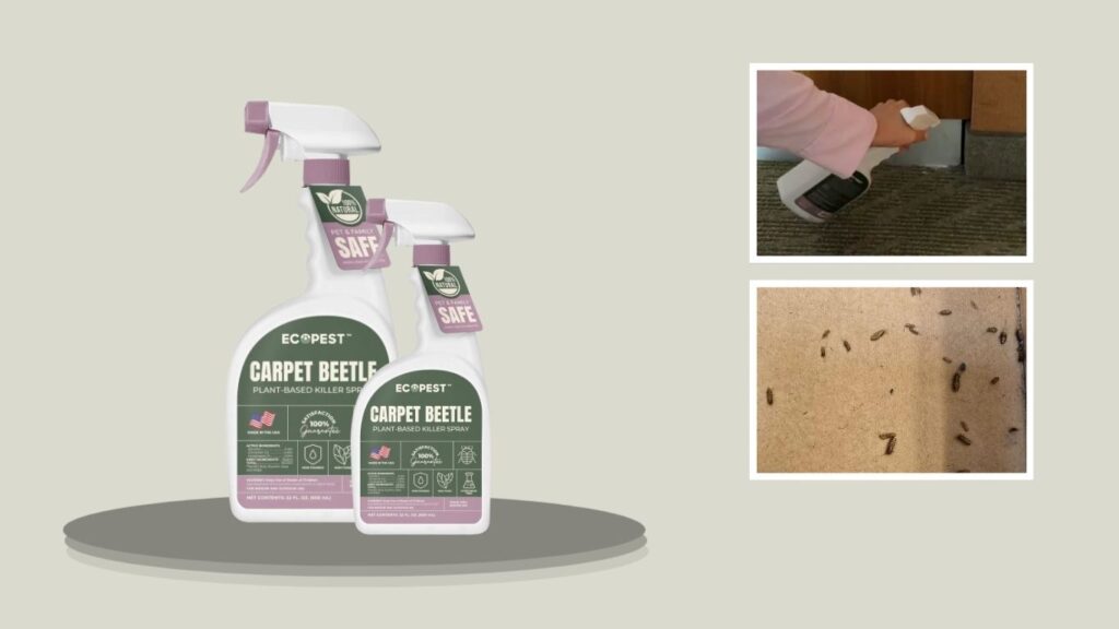 EcoPest Carpet Beetle Spray – Natural Plant-Based Killer (22 oz)