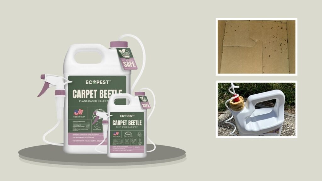 EcoPest Carpet Beetle Spray – Natural Plant-Based Killer (128 oz)