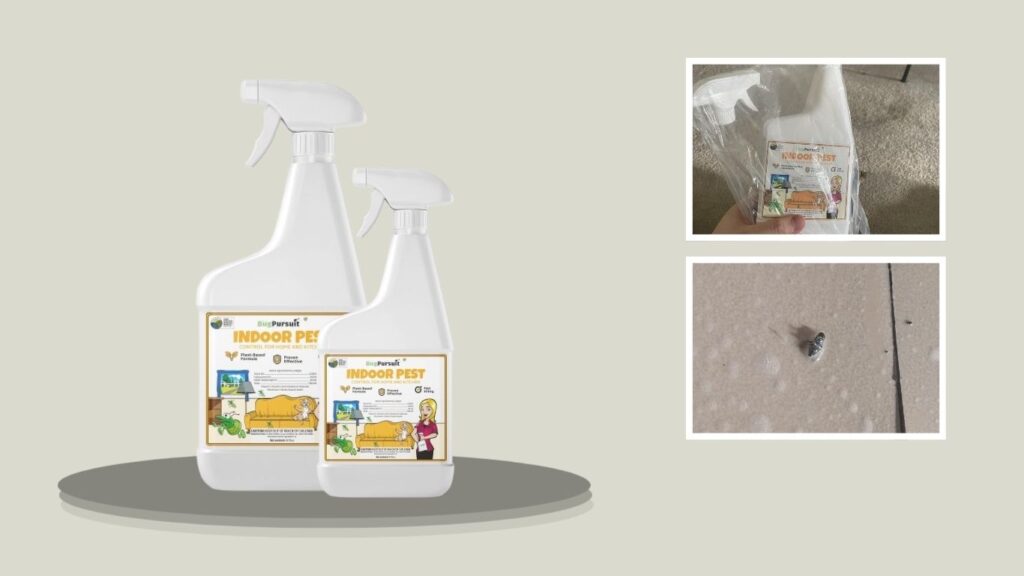 BugPursuit Indoor Pest Control Spray (24 oz)