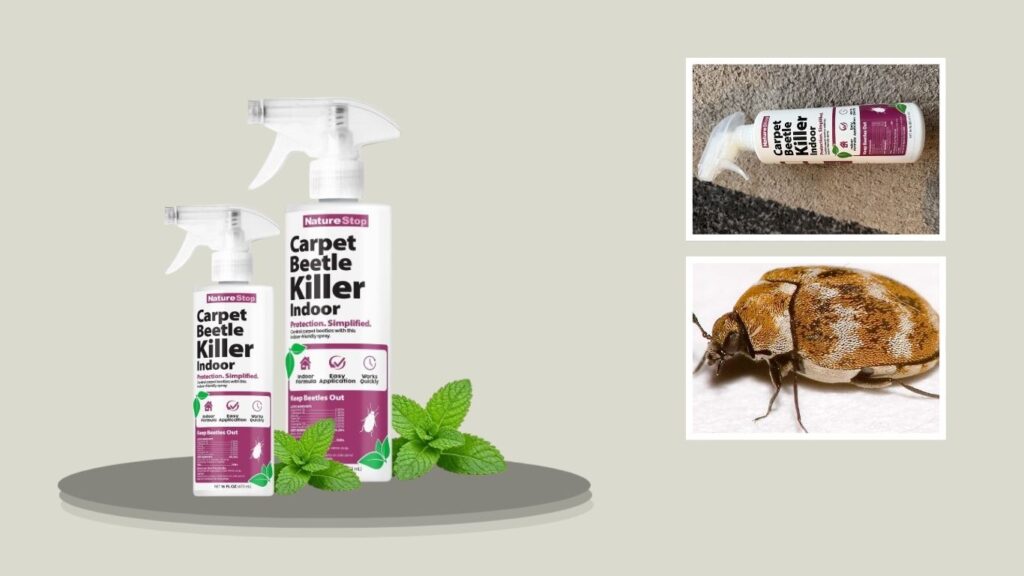 NatureStop Carpet Beetle Killer Spray (16 oz)