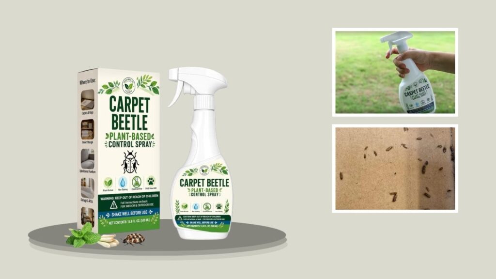 SEEKDIT Carpet Beetle Spray – Natural Plant-Based Treatment (16.9 fl oz)