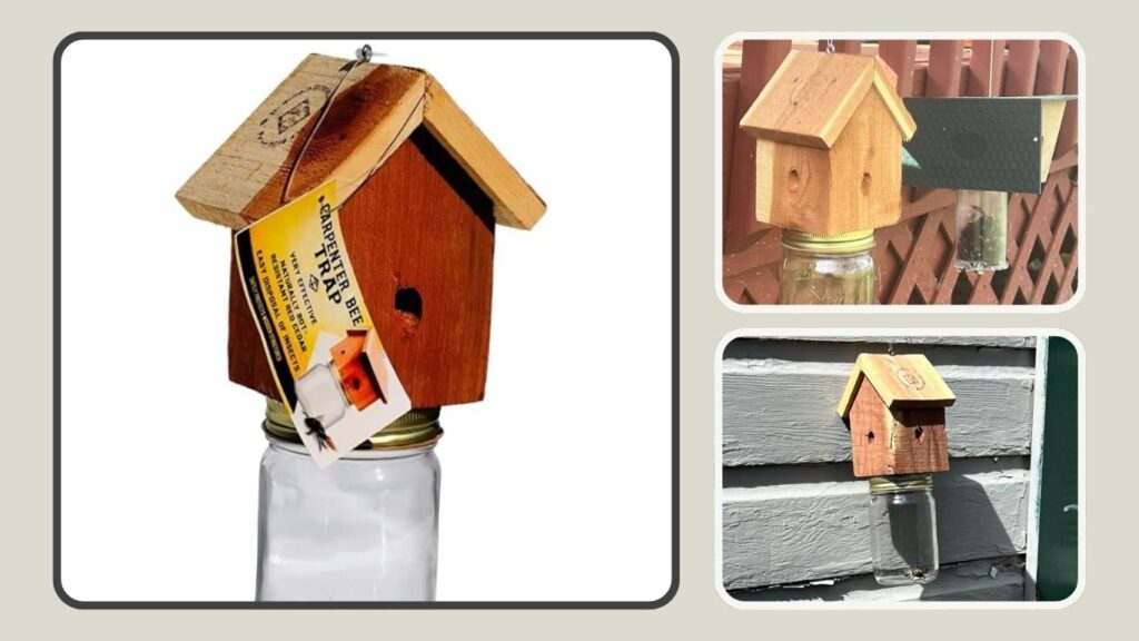 https://www.amazon.com/Amish-Made-Rustic-Carpenter-Bee-Trap/dp/B0BRVVYBDC/ref=sr_1
