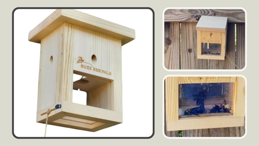 Buzz Bee Pals Carpenter Bee Defender Trap B1