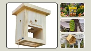 7 Best Bumble Bee Traps for Effective Outdoor Control
