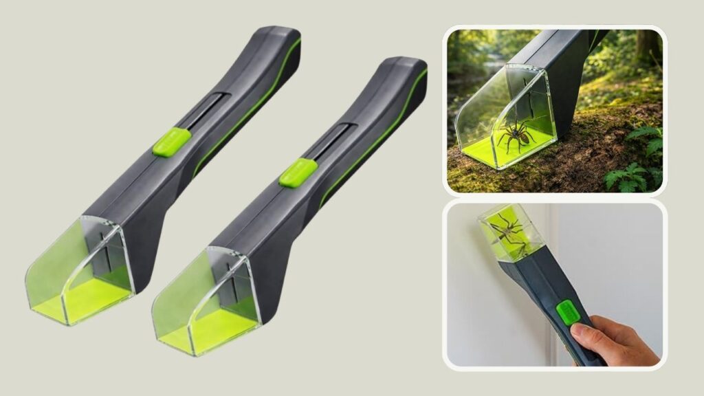 RB&G Humane Bug Catcher with Sliding Door