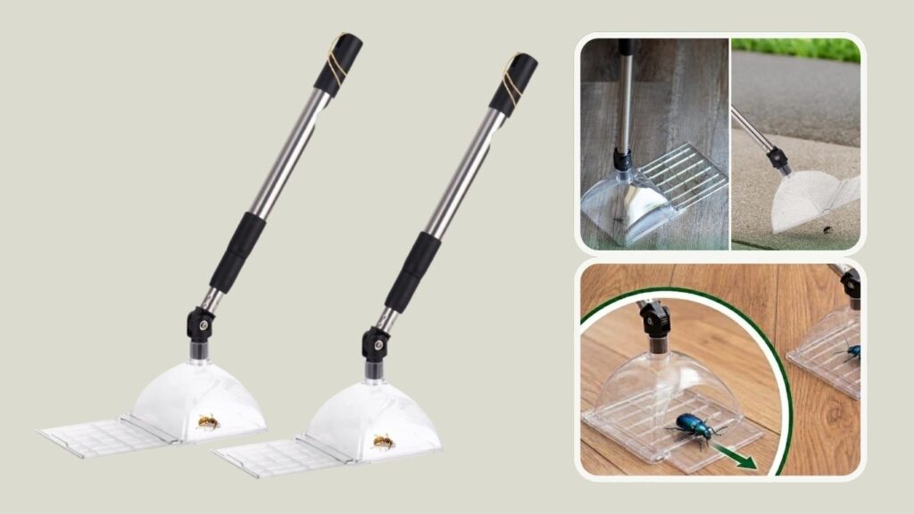 Bug Snatcher Extendable Bug Catcher Container