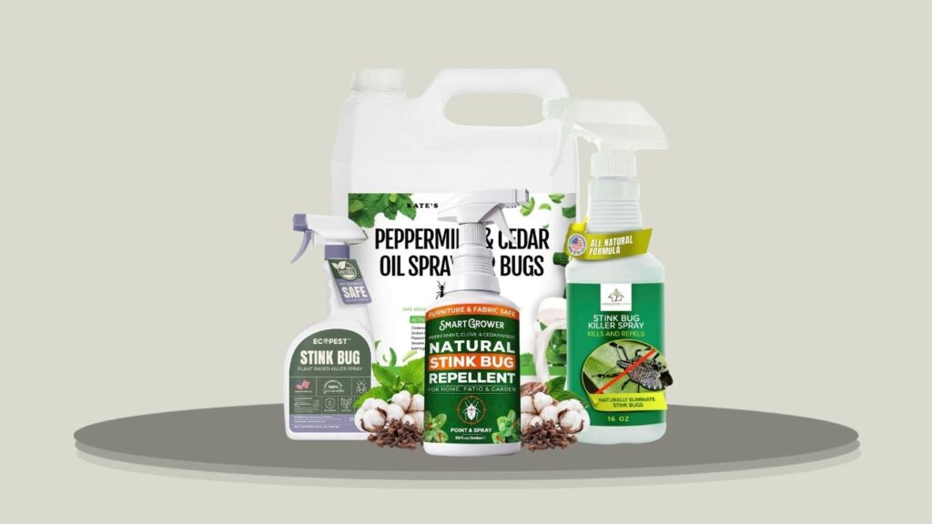 8 Best Stink Bug Sprays for Indoor and Outdoor Control