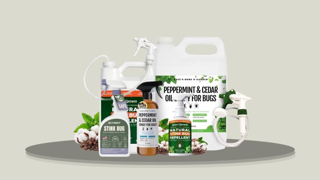 7 Best Indoor Stink Bug Killers for Effective Home Control