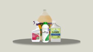 6 Best Insecticides for Stink Bugs in Gardens and Plants