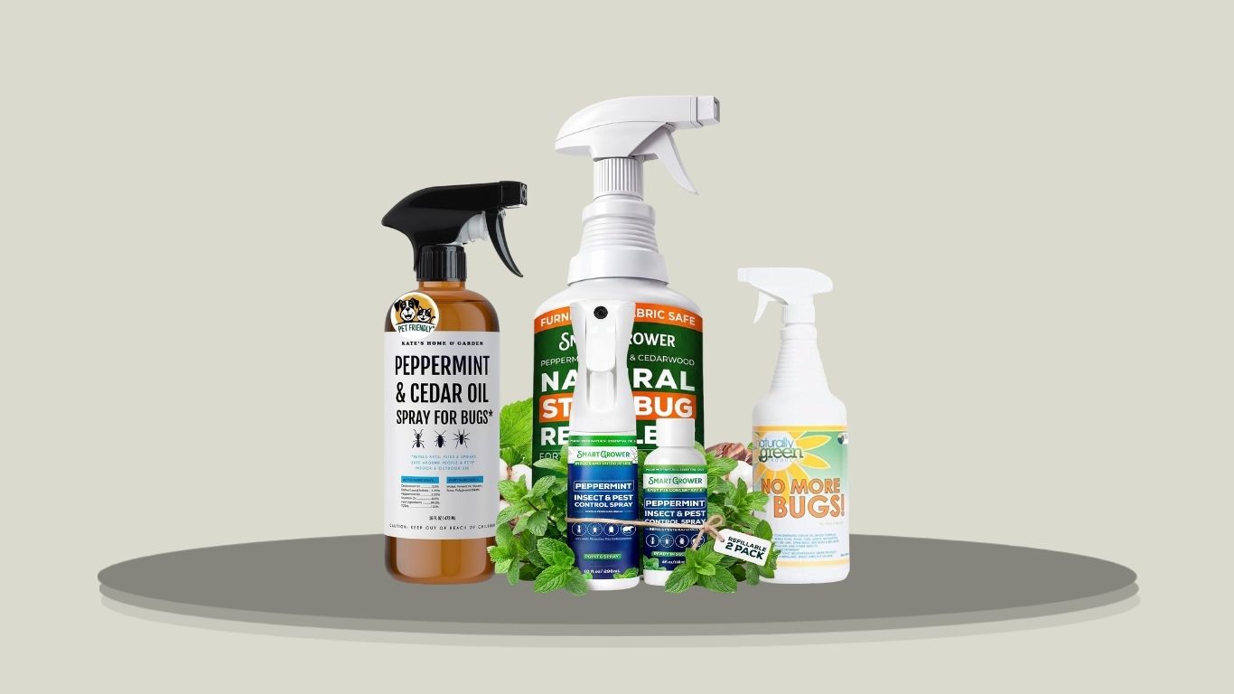 10 Best Natural Stink Bug Sprays for Indoor & Outdoor Use