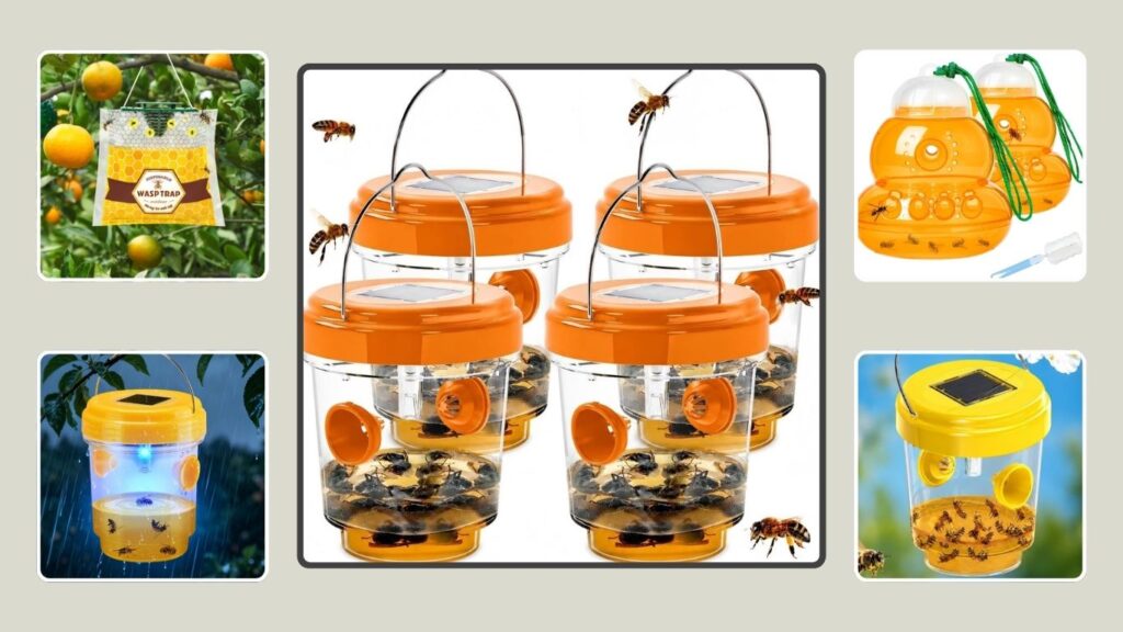 10 Best Hornet Traps for Outdoor Wasp and Yellowjacket Control