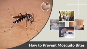 How to Prevent Mosquito Bites: 12 Proven Ways That Work