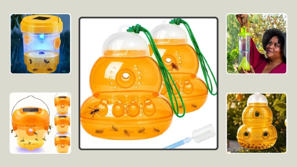 7 Best Hanging Hornet Traps for Outdoor Wasp Control