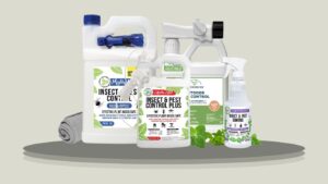 9 Best Ant Repellent Sprays for Indoor and Outdoor Use
