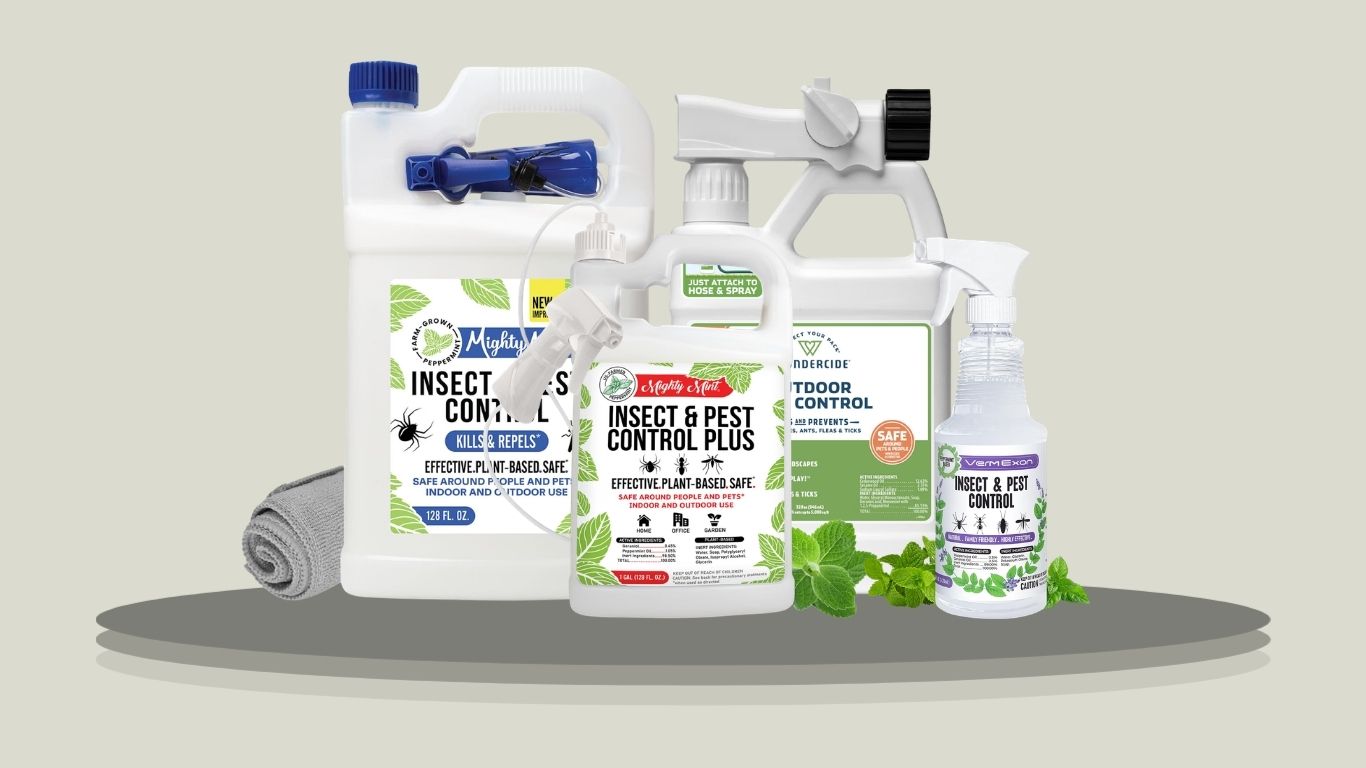 9 Best Ant Repellent Sprays for Indoor and Outdoor Use