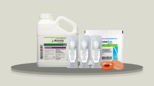 6 Best Advion Fire Ant Baits for Reliable Ant Control