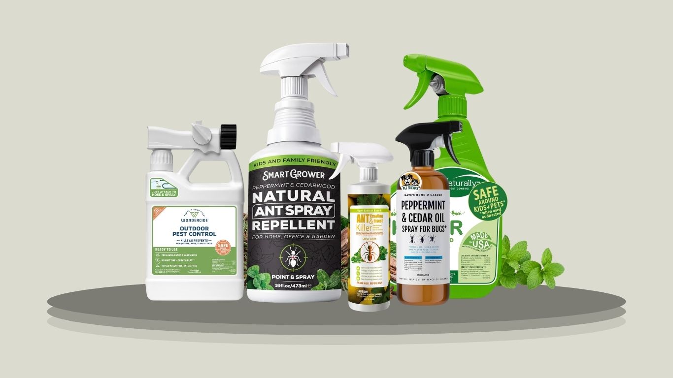 8 Best Ant Sprays for Indoor and Outdoor Control