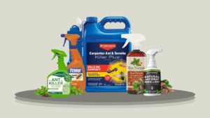 10 Best Carpenter Ant Killer Sprays for Home and Yard