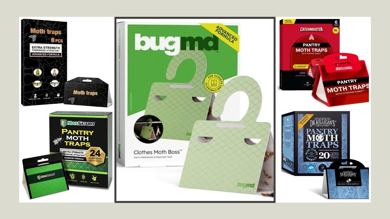 8 Best Pantry Moth Traps for Kitchens and Food Storage