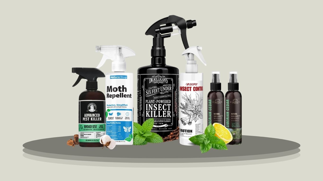 8 Best Moth Sprays for Clothes, Closets & Home Use