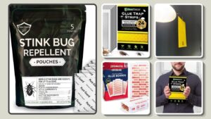 5 Best Stink Bug Traps for Effective Indoor Control