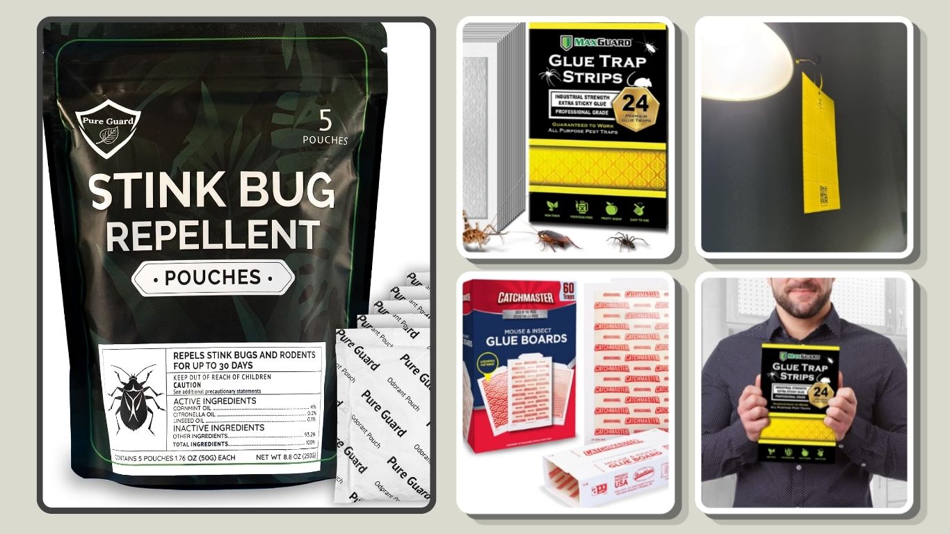 5 Best Stink Bug Traps for Effective Indoor Control