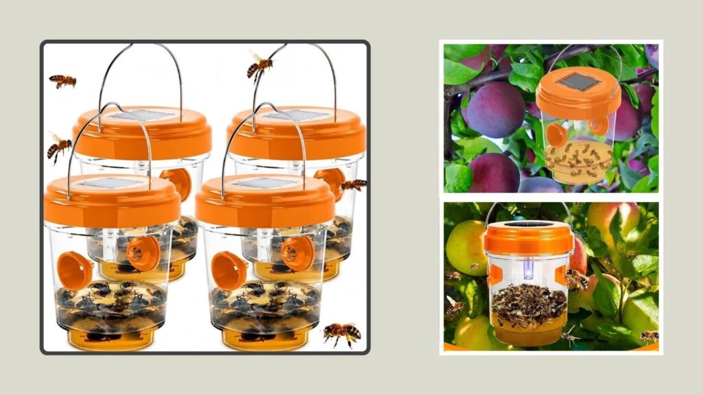 Outdoor Hanging Hornet, Wasp & Yellowjacket Catcher
