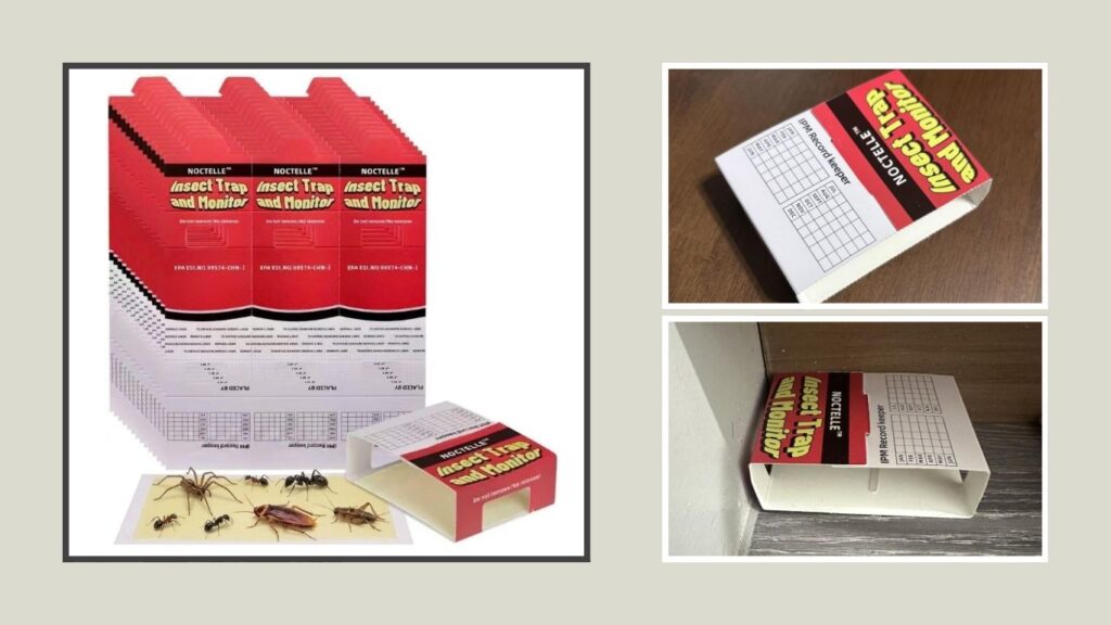 Spider & Crawling Insect Adhesive Traps