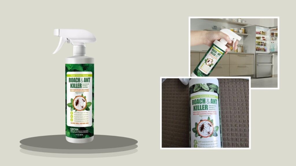 EcoVenger Ant Killer & Deterrent Peppermint Spray