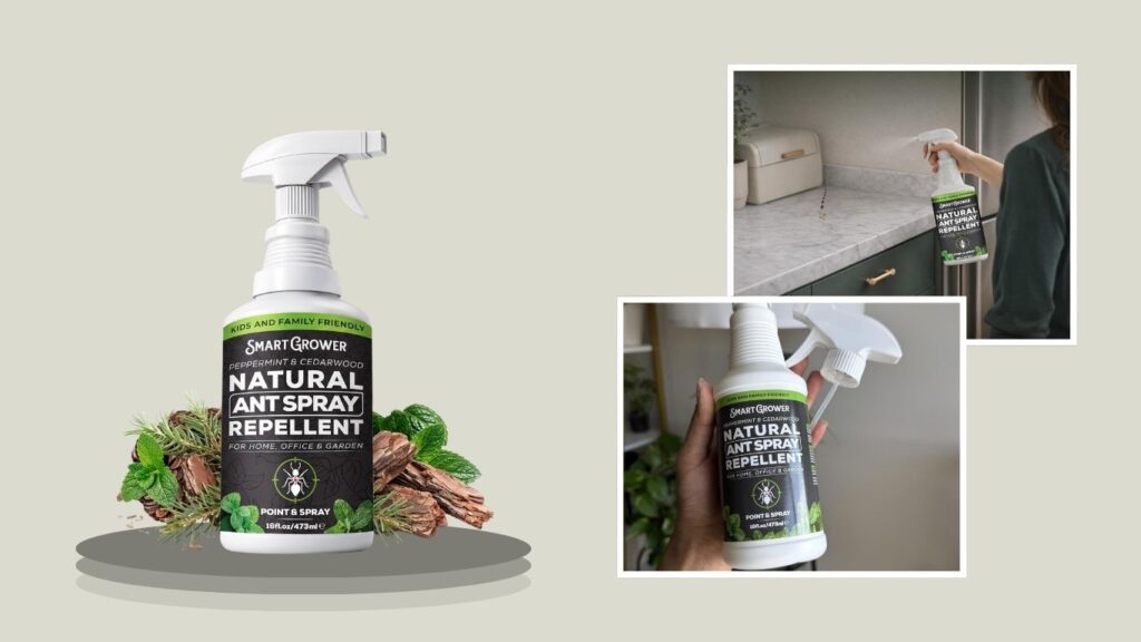 Natural Ant Spray for Indoor & Outdoor Use