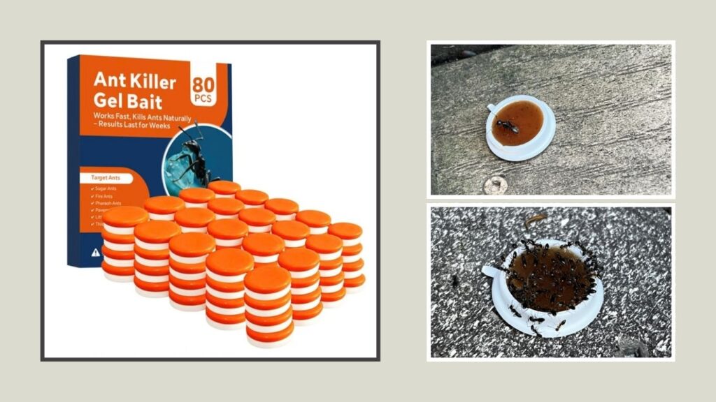 Strengthened Long-Lasting Ant Bait Traps