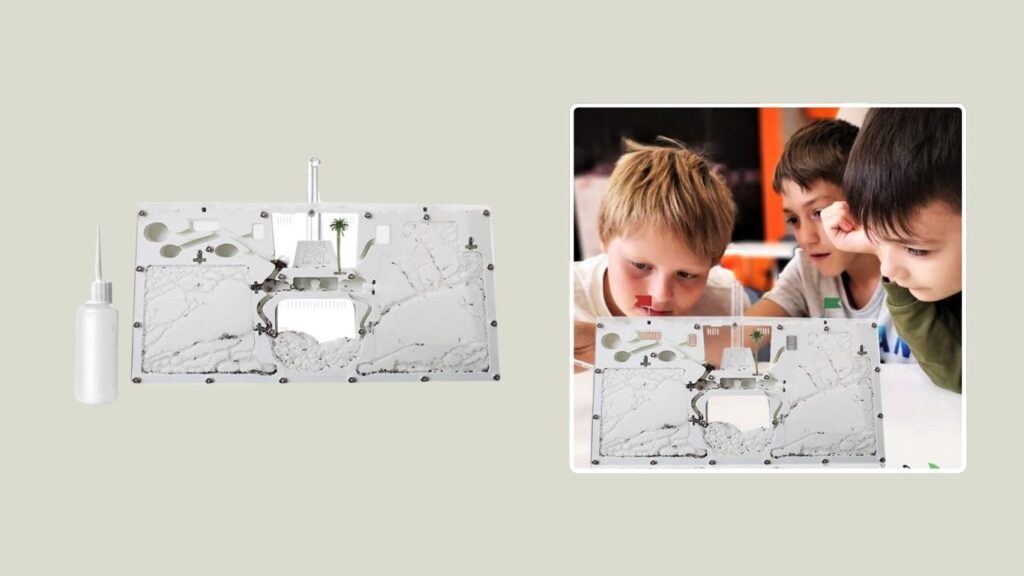 ELNMLHT Ant Farm Observation & Learning Kit for Students and Children