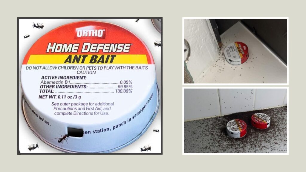 Ortho Home Defense Ant Killer